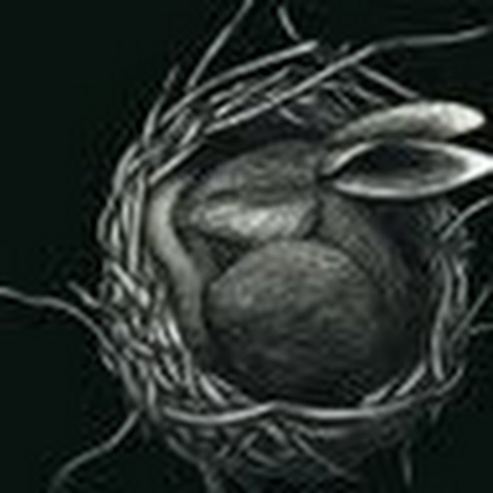 Meet your Posher, Lydia